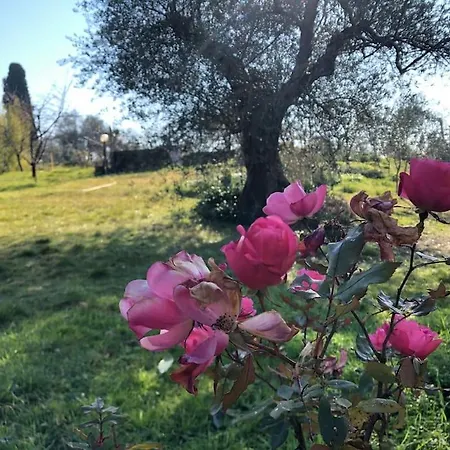 La Vigna