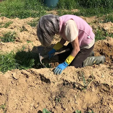 La Vigna * Siena