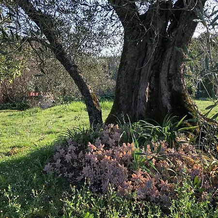 Feriegård La Vigna *