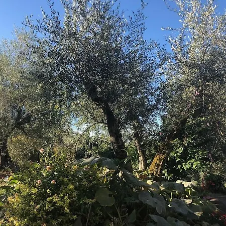 La Vigna Feriegård