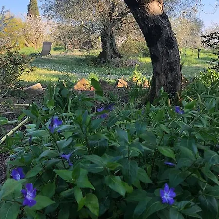 La Vigna * Siena