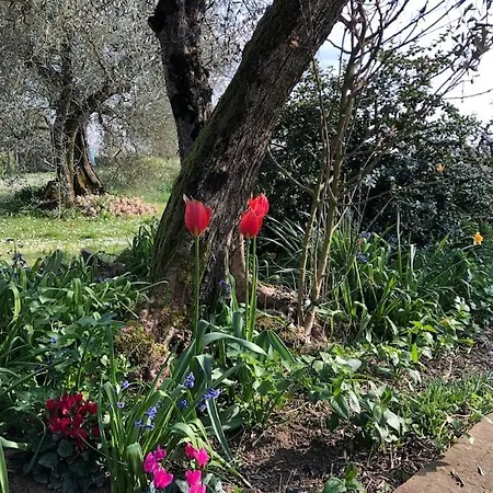 La Vigna