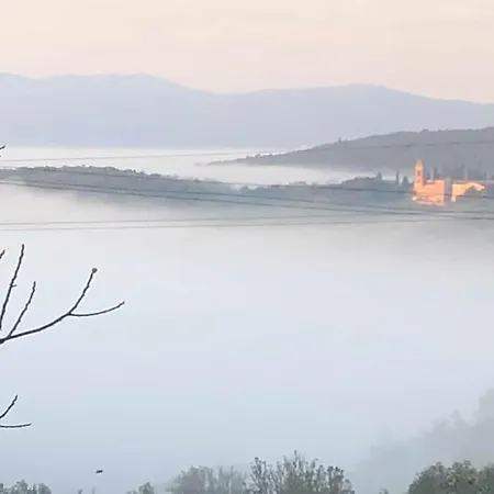 La Vigna * Siena
