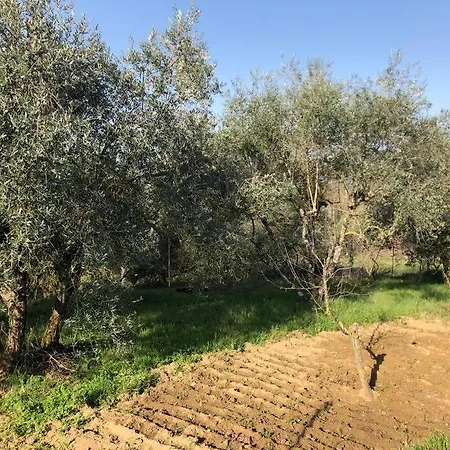 Feriegård La Vigna Siena