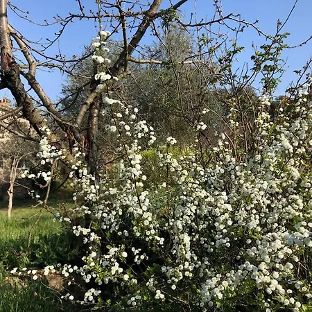 Feriegård La Vigna *