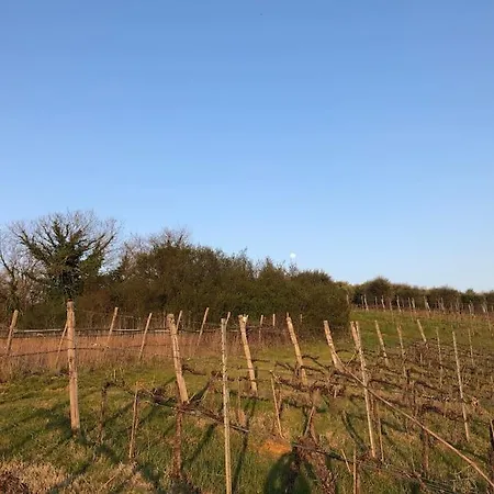 Feriegård La Vigna *