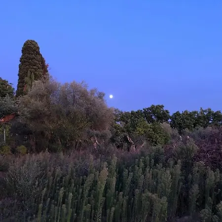 La Vigna * Siena