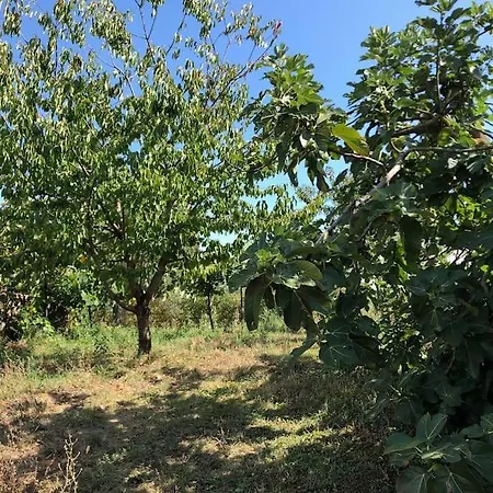 Feriegård La Vigna Siena