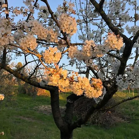 Feriegård La Vigna