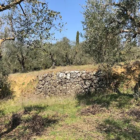 La Vigna