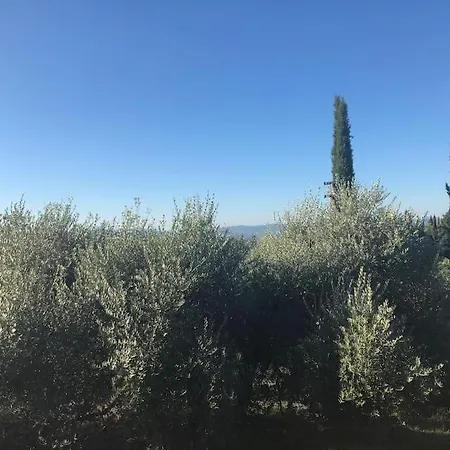 La Vigna Feriegård *