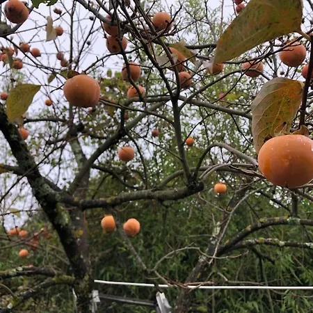 La Vigna Feriegård *