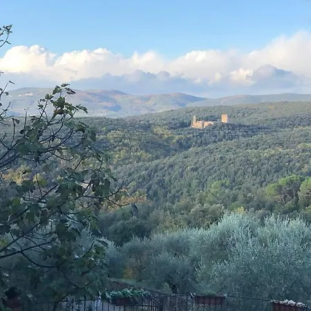 La Vigna * Siena