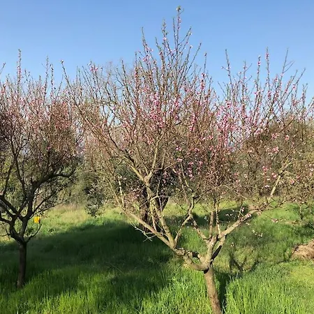 Feriegård La Vigna Siena