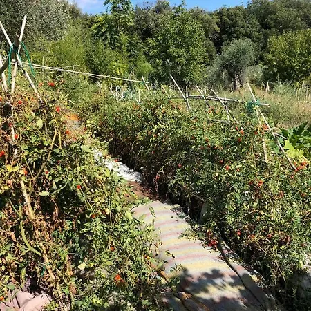 La Vigna Feriegård Siena