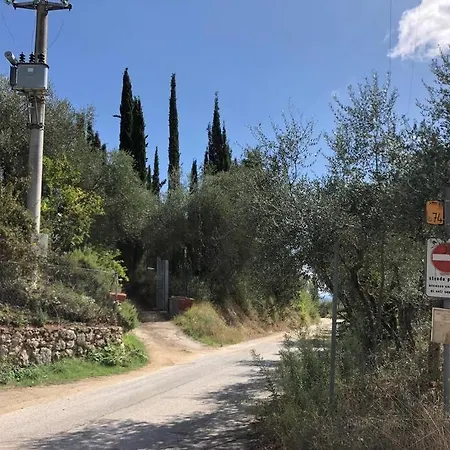 La Vigna Siena