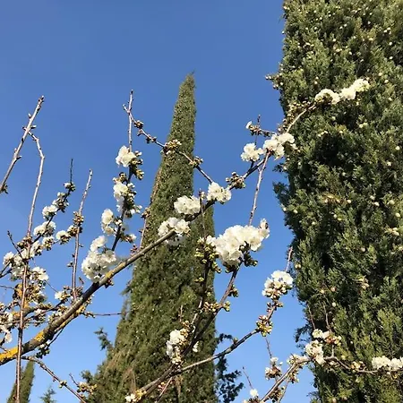 La Vigna Alloggio per agriturismo